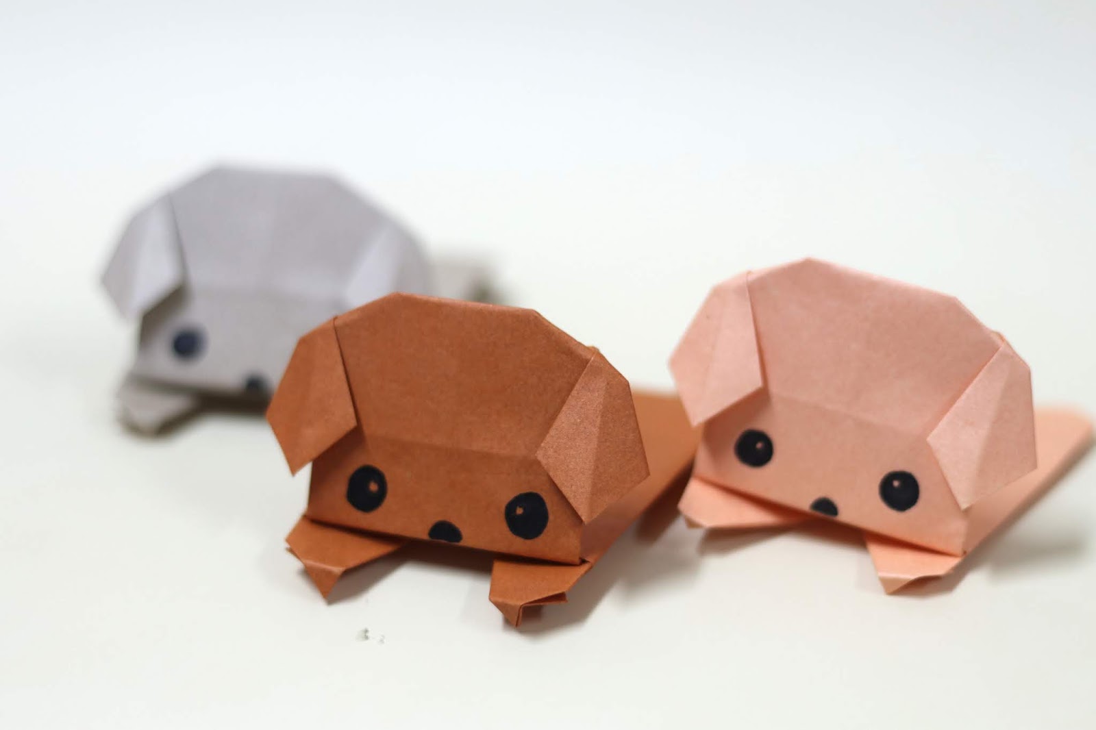 Tutorial #118: Origami Dog | The Idea King