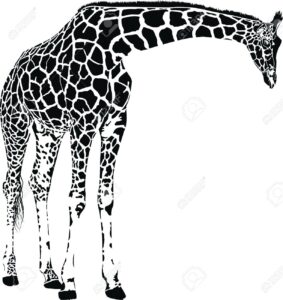 giraffe schablone