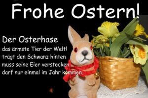 ostern bilder lustig kostenlos