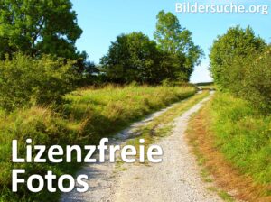 kostenlose bilder google