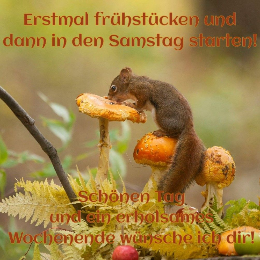 Herbstbilder Lustig - kinderbilder.download | kinderbilder.download