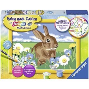 malen nach zahlen hase