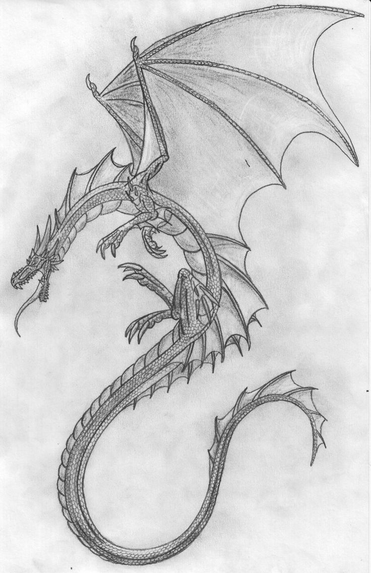 35+ Bleistift Drachen Bilder Zum Zeichnen