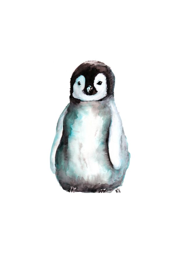 penguin Penguin Watercolor, Watercolor Animals, Watercolor Paintings