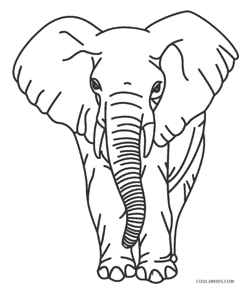 elefant vorlagen