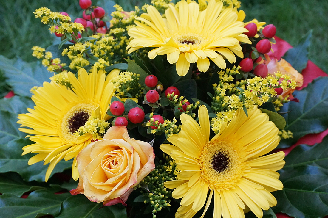 geburtstagsbilder frau blumen