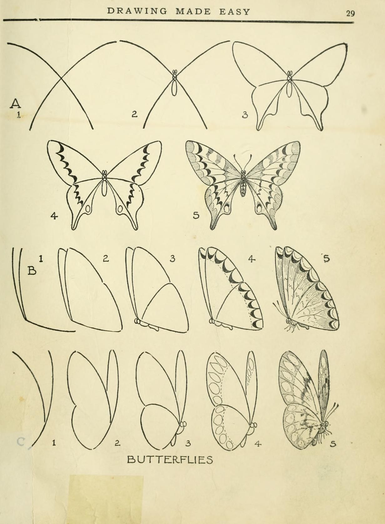 schmetterling einfach