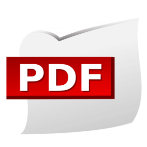 bild zu pdf online